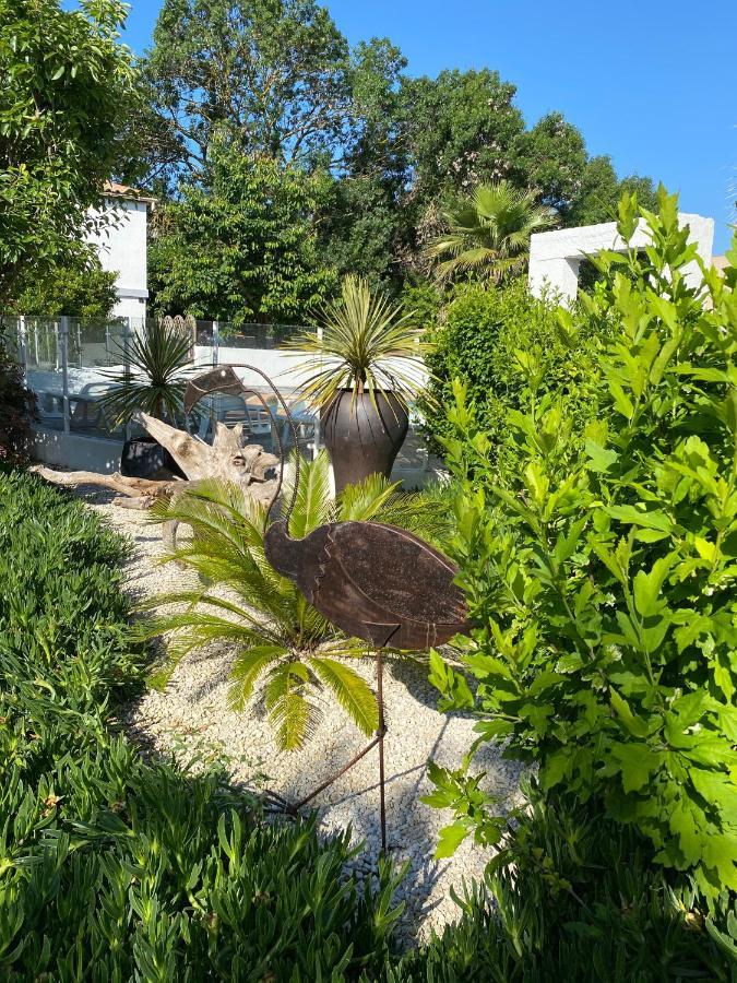 Jm Vacances Serignan Studio Exterior photo